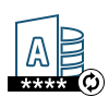 export options